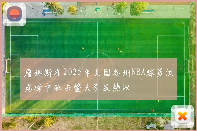 詹姆斯在2025年美国各州NBA球员浏览榜中独占鳌头引发热议